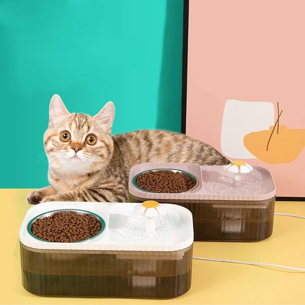 fontaine et  gamelle inox pour chat et chien