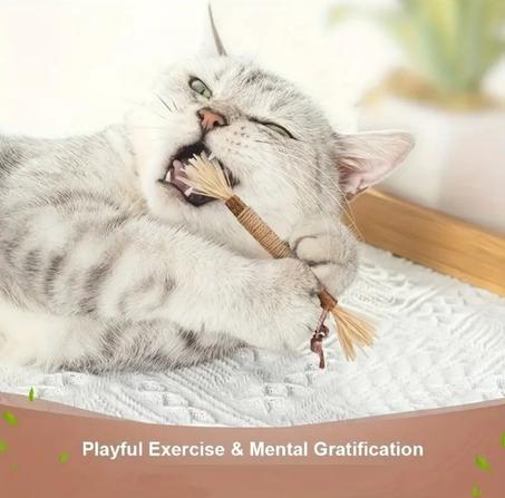 Bâtonnet à mâcher en os naturel pour chat