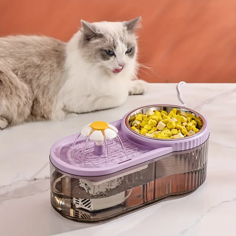 Distributeur d'eau automatique pour chat et mangeoire surélevée,  en acier inoxydable, alimenté par USB