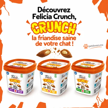 Felicia Crunch – Friandises Croustillantes pour Chats au Cœur Crémeux 100 g