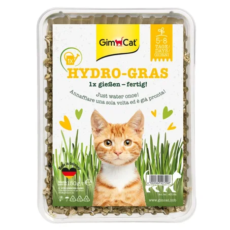 Herbe à chat prête à pousser – GimCat Hydro-Gras