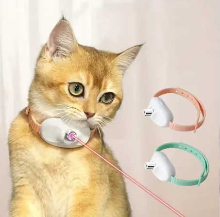 Collier laser pour chat