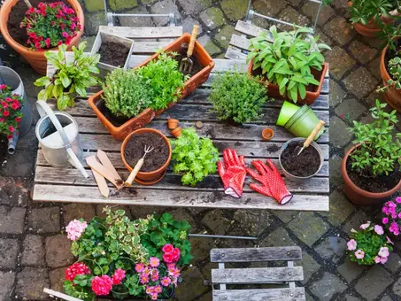 مستلزمات  الحديقة