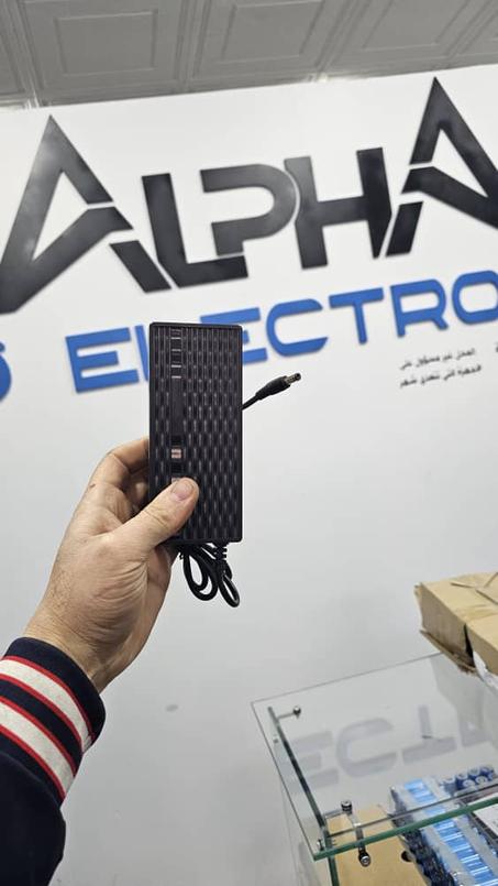 CHARGEUR 42V original