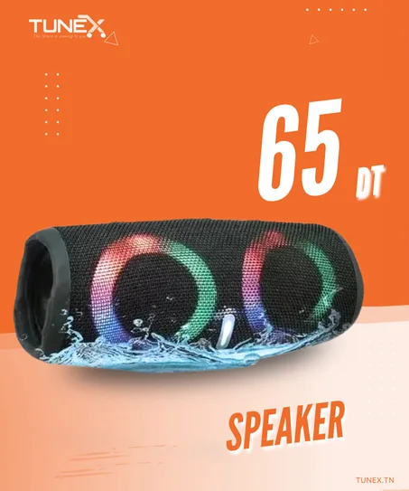 speaker
