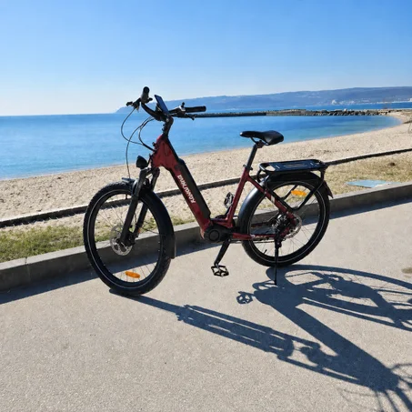 Vélos électriques