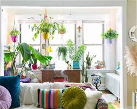 المنزل والحديقة