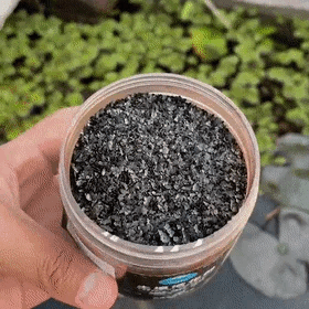SOIL BOOSTER™ – Natural Fertilizer for Strong Roots, Faster Growth & Big Harvests 🌾