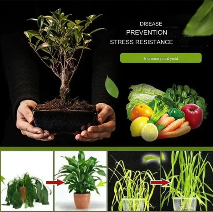 SOIL BOOSTER™ – Natural Fertilizer for Strong Roots, Faster Growth & Big Harvests 🌾