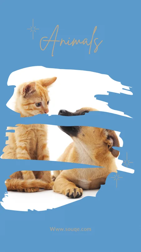 مستلزمات الحيوانات