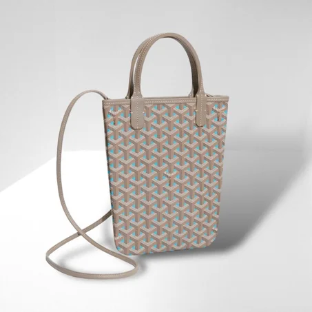 Goyard Poitiers Claire-Voie Bag
