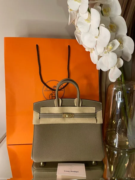 Hermes Birkin 25 Etoupe Togo Gold Hardware