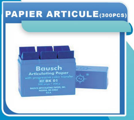 PAPIER ARTICULE.PNG (300 pcs)