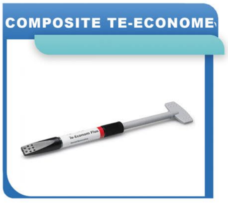 COMPOSITE TE-ECONOME