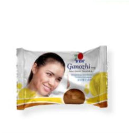 GANOZHI SOAP