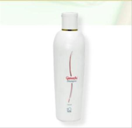 GANOZHI SHAMPOO