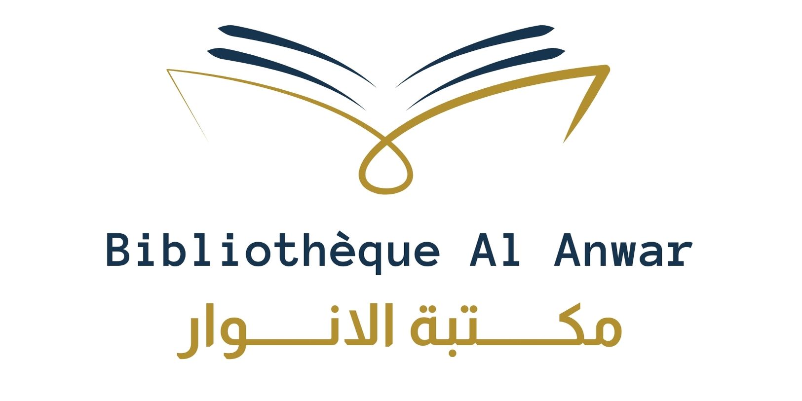 Bibliothèque Al Anwar