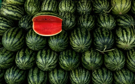Premium Export melons and Watermelons