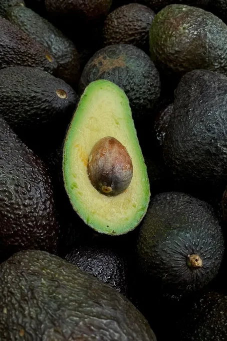 Premium Export Avocados