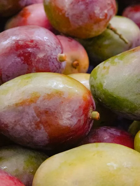 Premium Export Mangoes