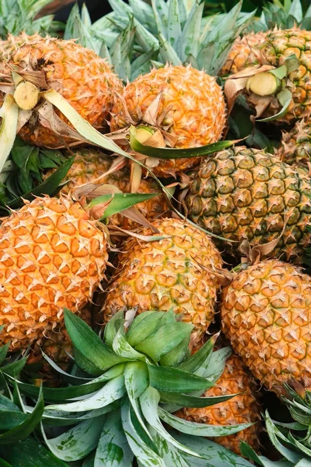 Premium Export pineapple