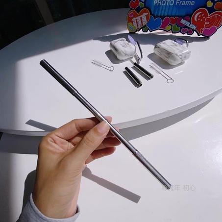 Portable Metal Straw - شاليموه معدن قابله للطي