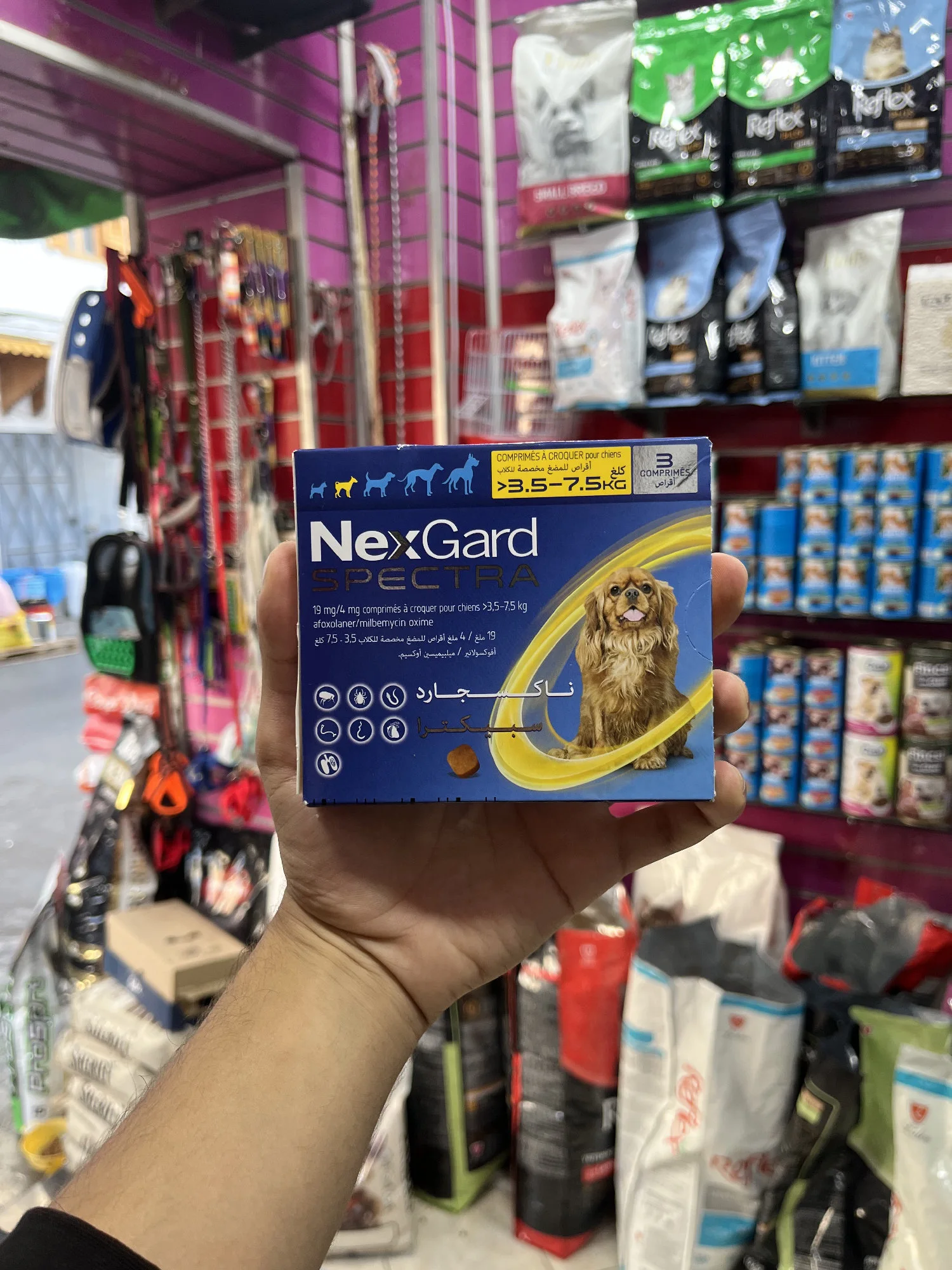 NexGard Spectra Chien