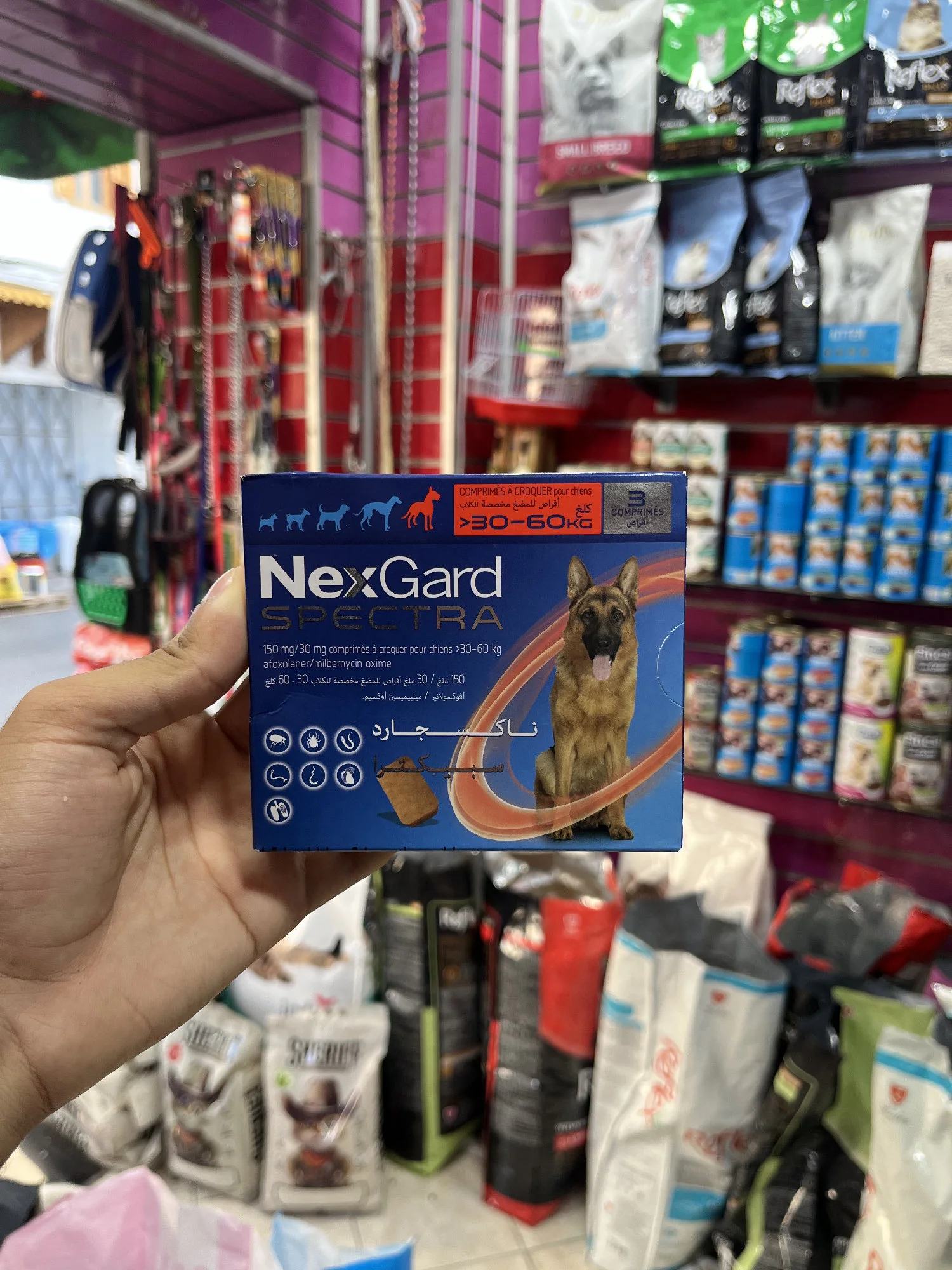 NexGard Spectra Chien