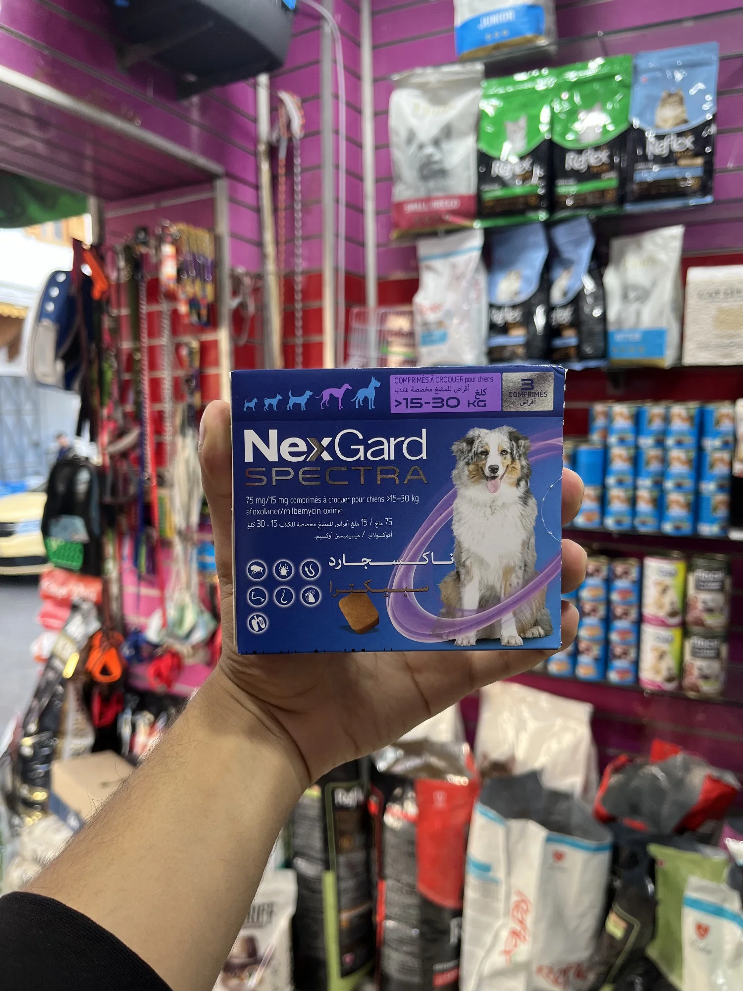 NexGard Spectra Chien