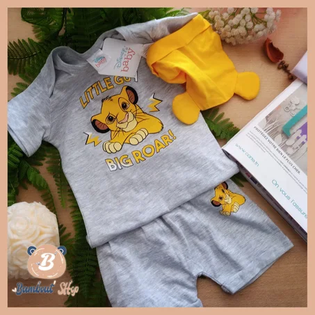 ENSEMBLE DISNEY ROI LION