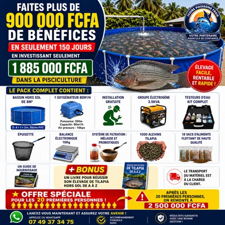 PACK 1000 ALEVINS TILAPIA + 18 SACS  D'ALIMENT