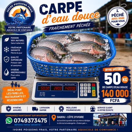 Poisson Tilapia frais