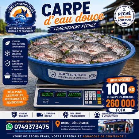 Carpe d'eau douce fraîchement pêché 🎣