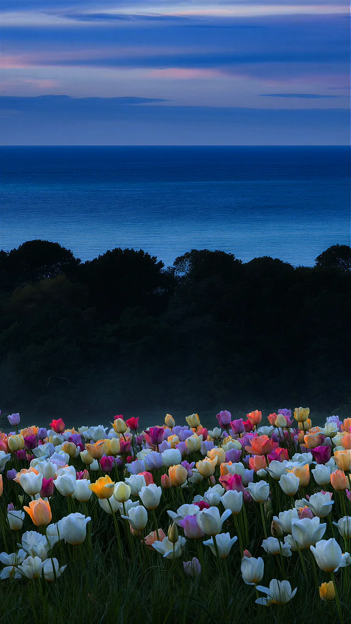 Horizon Flowers 4K video