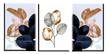 stores/66452aed09e29fbca825e98a2e4aadea/products/nx4zJNzBCQltjkwjtCD35lgqkypz7gyHGRbqh8xd.png