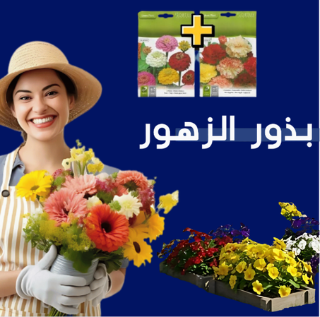 بذور الزهور المنزلية