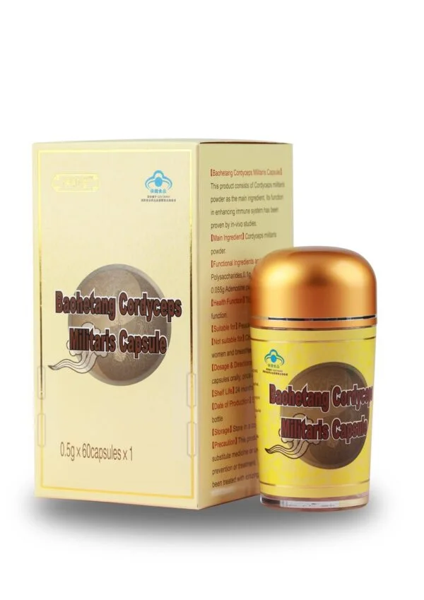 CORDYCEPS MILITARISTES DE LONGRICH