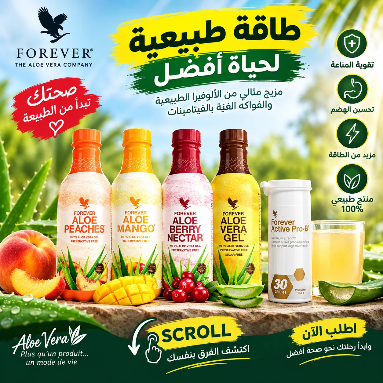 منتوجات عملية الهضم