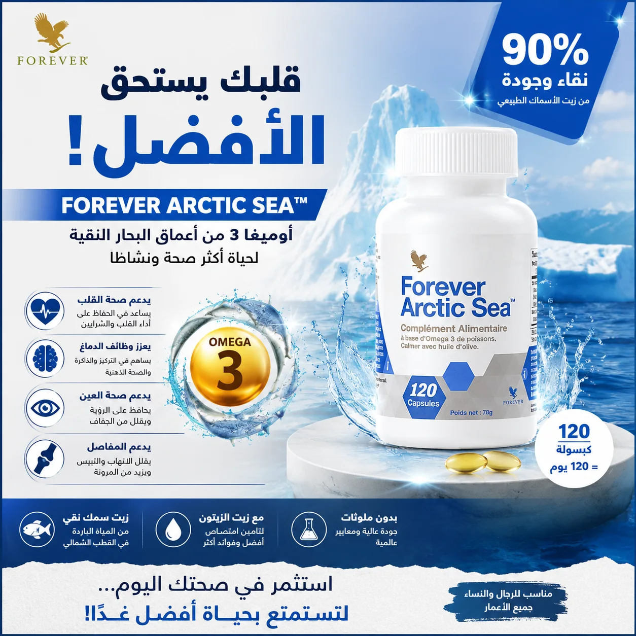 Forever Arctic Sea