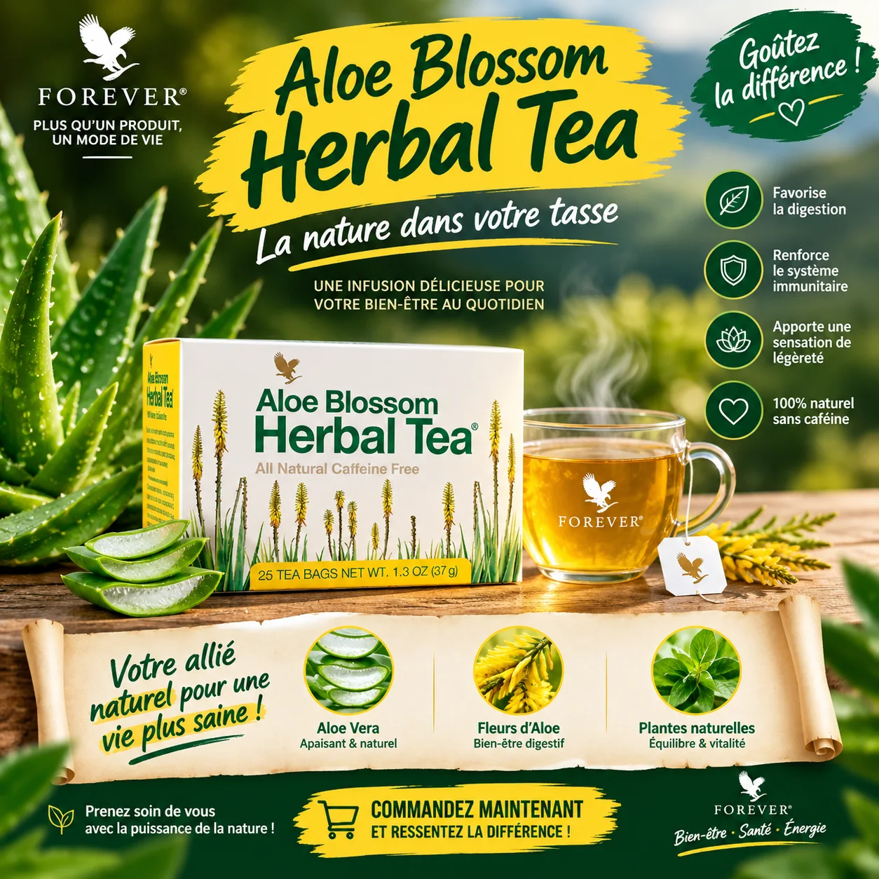 Infusion Fleur d'Aloès