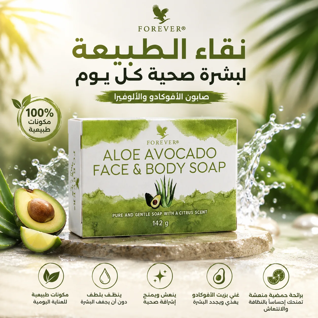 Avocado Face – Body Soap