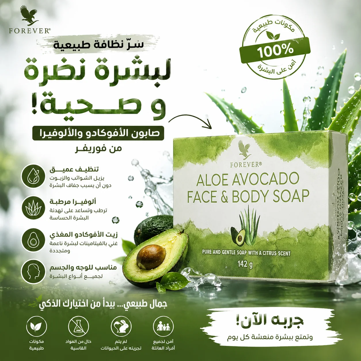 Avocado Face – Body Soap