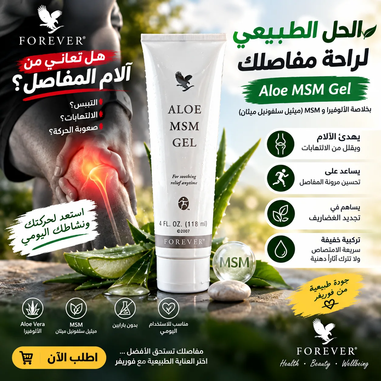 Aloe MSM Gel
