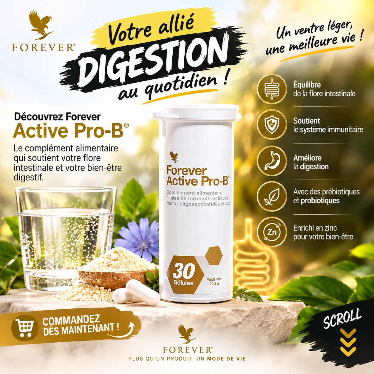 Forever Active Pro-B