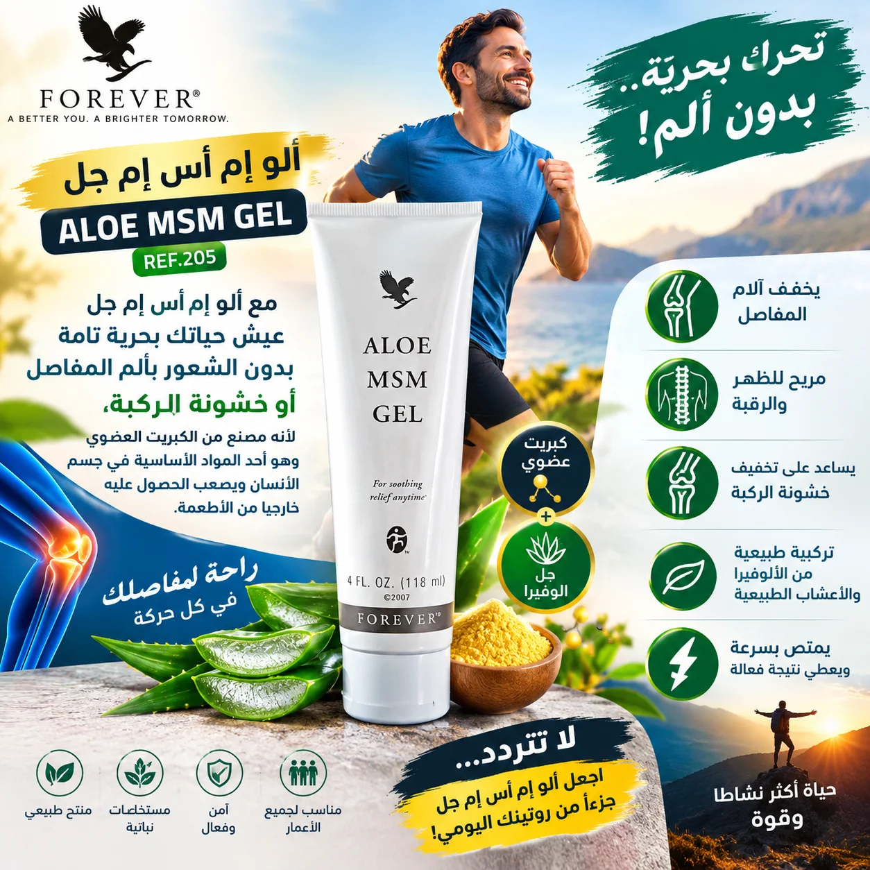 Aloe MSM Gel