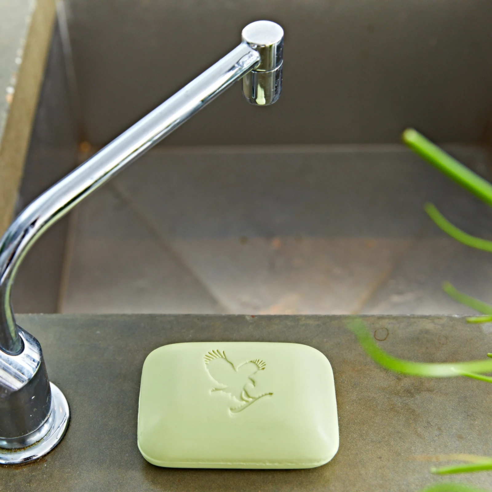 Avocado Face – Body Soap