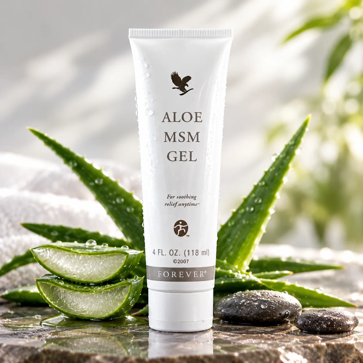 Aloe MSM Gel