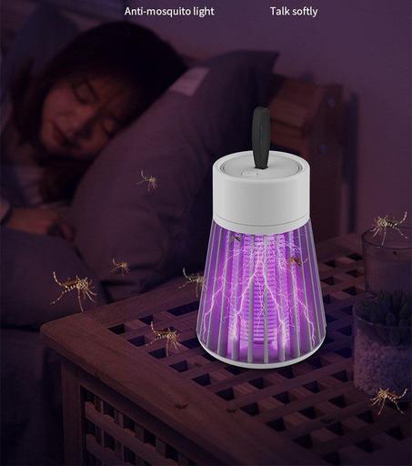 قاتل  الحشرات