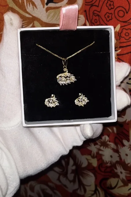 Collier et boucles d’oreilles Swan🦢 سنسلة + حلقات بجعة