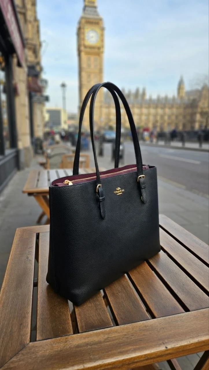Coach Mollie Tote